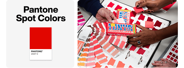 1Min_Email_Lesson1_Pantone
